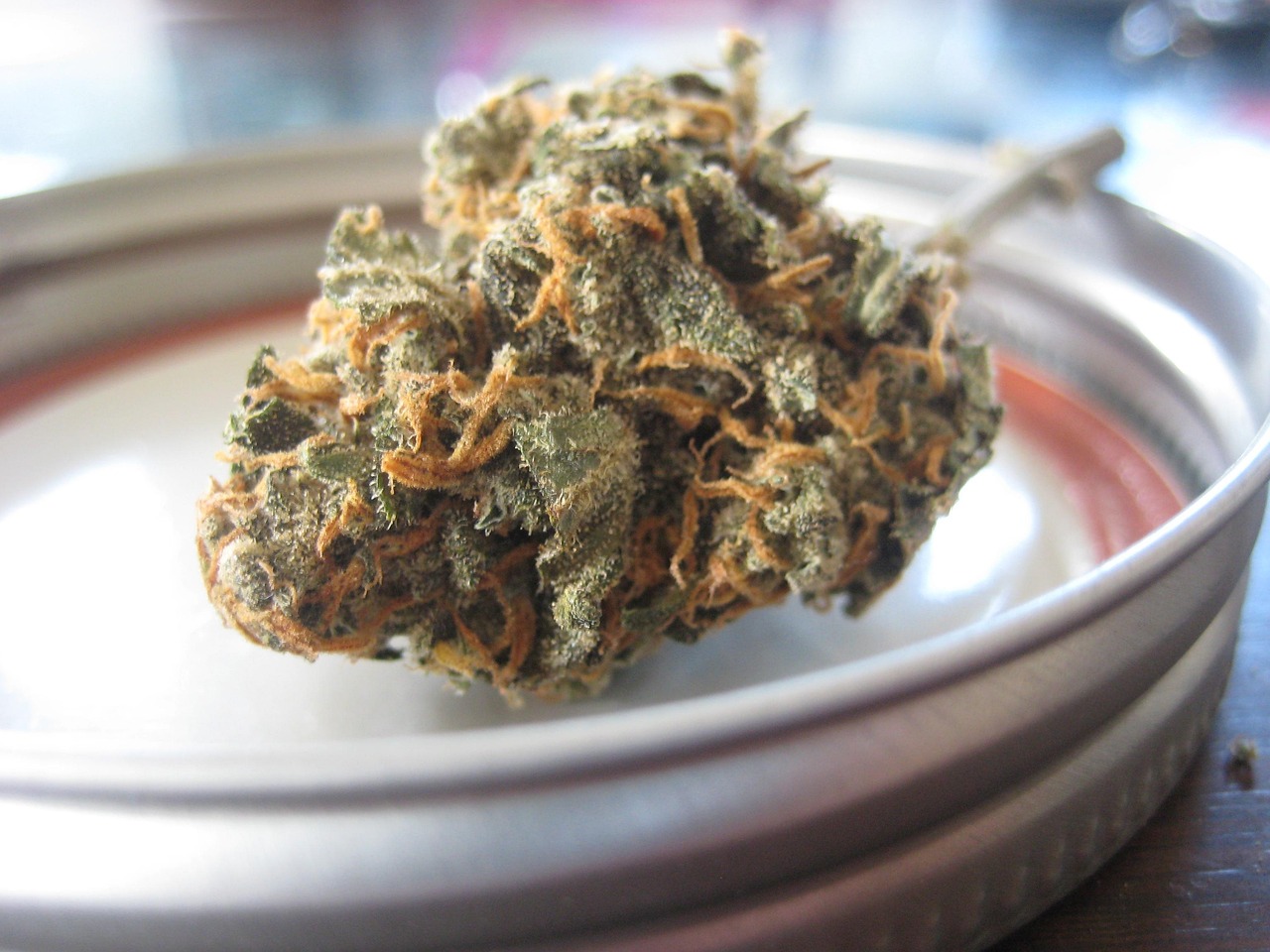 flowers, nature, led, bloom, green, natural, macro, grow, plant, growth, texture, flower wallpaper, environment, grass, leaf, fresh, tree, flora, color, bright, artificial, medical, medicinal, medicine, cure, colorful, pink, medication, treatment, help, red, warm, remedy, science, weed, hemp, ganja, beautiful flowers, herb, buds, pot, sativa, herbal, alternative, crop, legal, indica, thc, cbd, joint, smoke, dope, broccoli, trees, high, monday, dab, dabs, hash, cannabinoid, concentrate, extraction, extracts, oil, flower background, shatter, golden, health, trichomes, dabbing, dispensary, culture