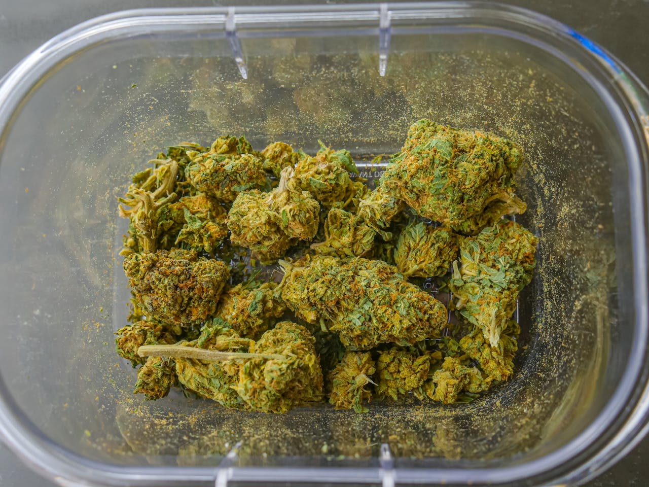 about-01 High-quality close-up image of dried cannabis buds in a clear glass container, showcasing texture and detail.
