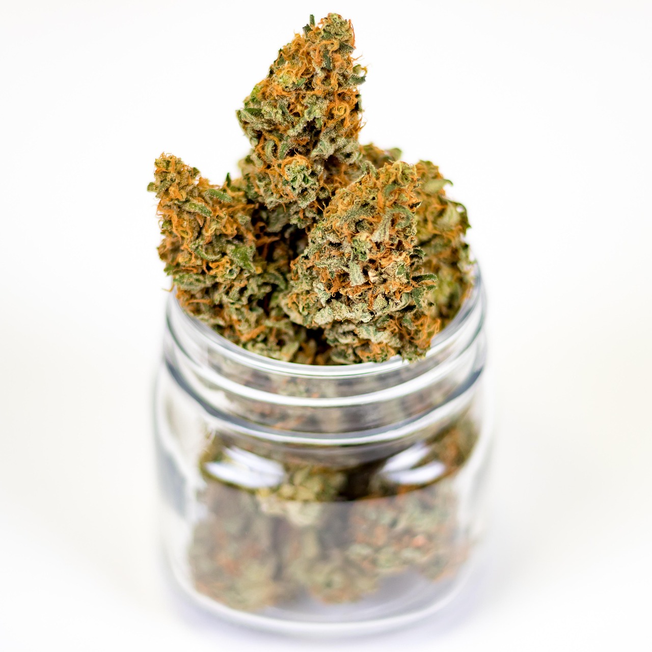 services-header pot, nature, weed, hemp, plant, medical, medicinal