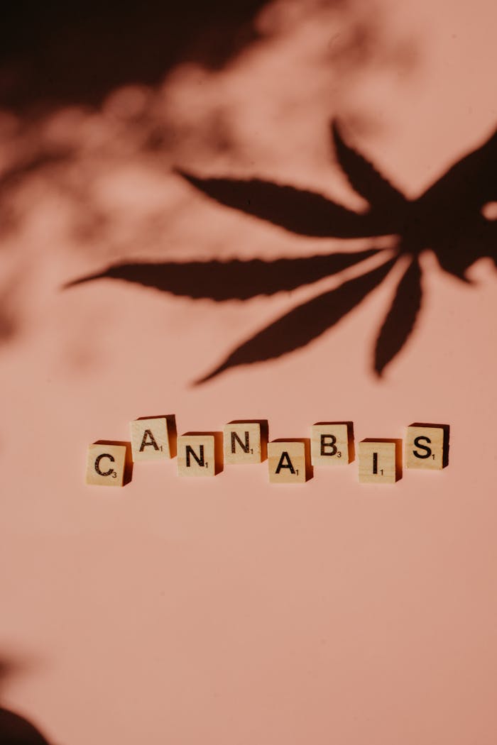 Artistic depiction of the word cannabis using Scrabble tiles and shadows.